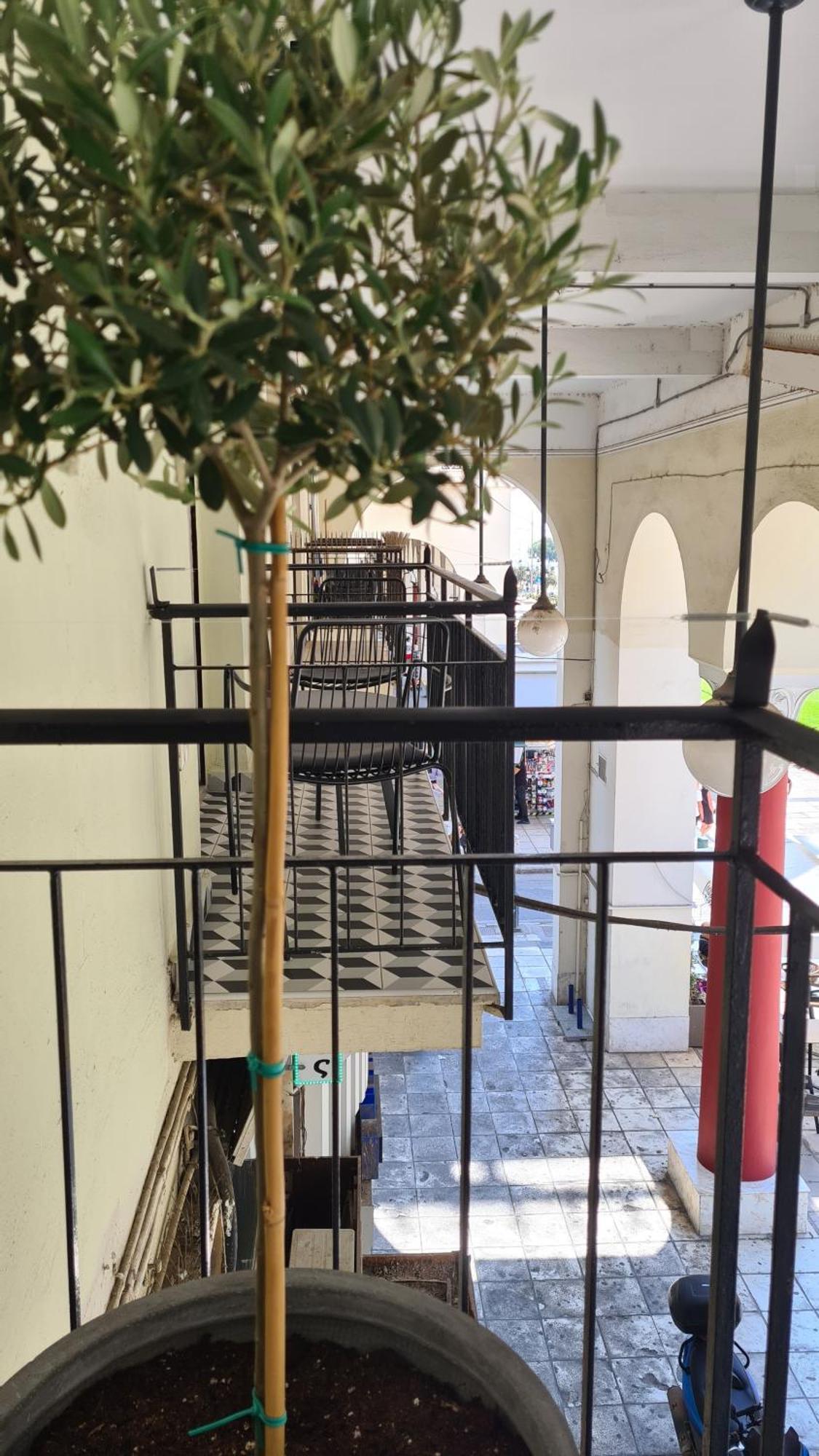 Μerάκι Aristotelous Sq Thessaloníki Ngoại thất bức ảnh